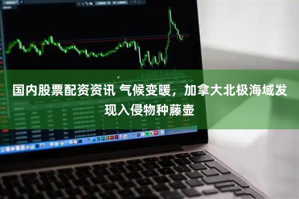 国内股票配资资讯 气候变暖，加拿大北极海域发现入侵物种藤壶